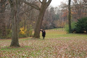 John Bartram in an English-style landscape that utilized all of the plants that he'd introduced to England.