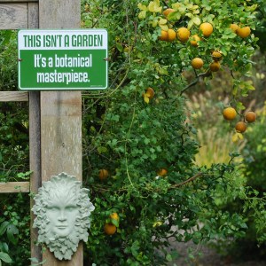 Stephanie Cohen's Garden Posting