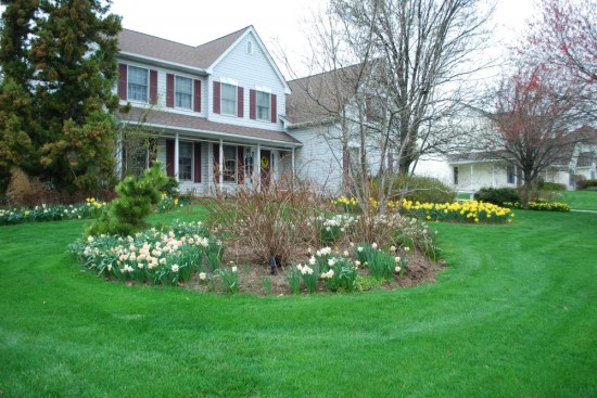 Home is where the heart is. John Bartram John Bartram Kirk R. Brown