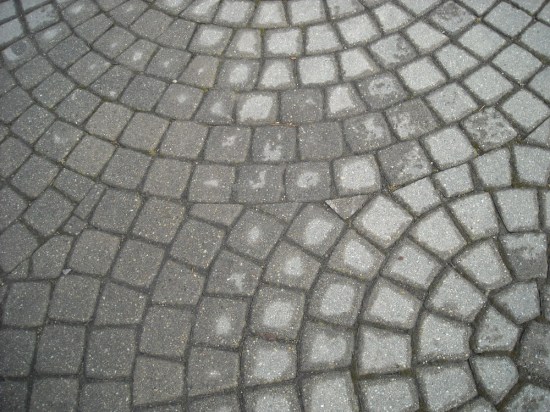 Naga skin tiles John Bartram Kirk R. Brown