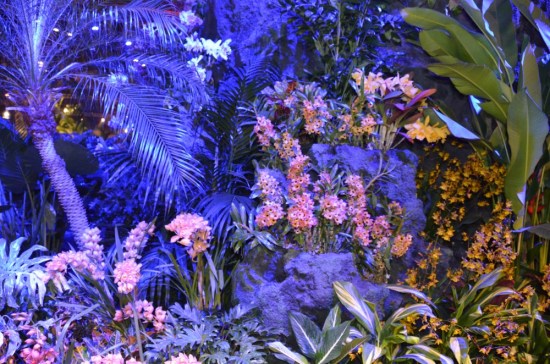 Tropical smiles of a summer night. Philadelphia Flower Show, Kirk R. Brown, John Bartram