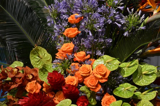 Color and Drama and Light. Tropicals Philadelphia Flower Show, John Bartram, Kirk R. Brown
