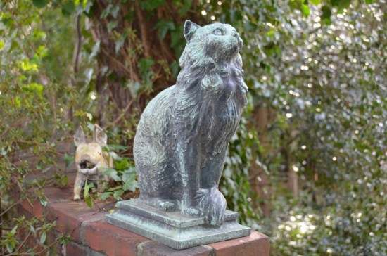 The Cat Meadowbrook Farm, Kirk R. Brown, John Bartram