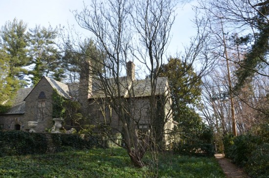 The Franklinia alatamaha Meadowbrook Farm, Kirk R. Brown, John Bartram