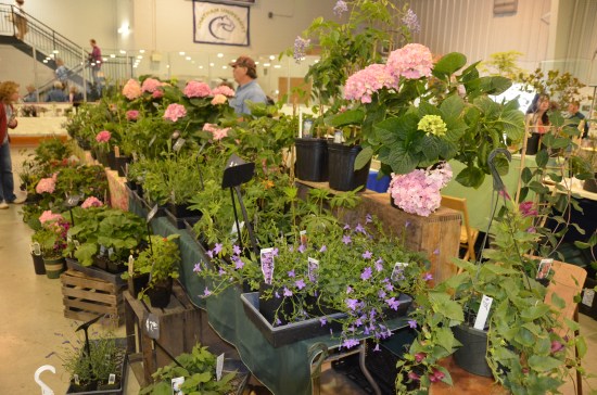 Kirk R. Brown, John Bartram, Phipps Conservatory, Shady Side Academy