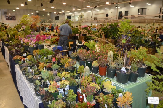 Kirk R. Brown, John Bartram, Western PA Garden and Landscape Symposium, Garden Marketplace