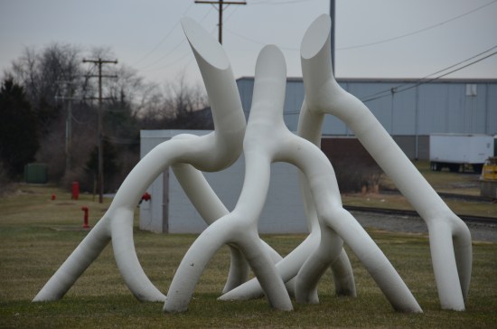 Roots.  John Bartram.  Kirk R. Brown.  Steve Tobin