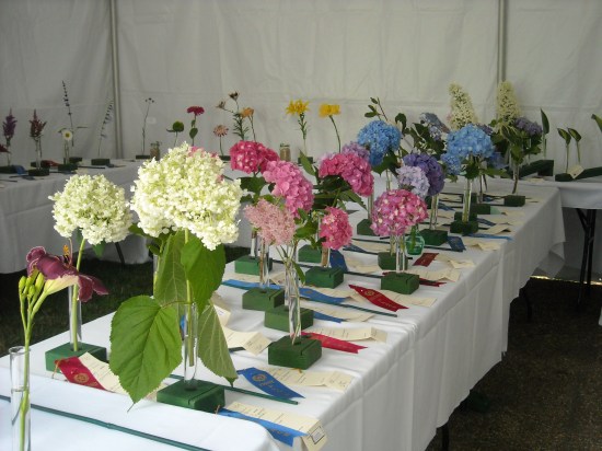 Red Bank Battlefield Ann Whitall John Bartram Kirk R. Brown