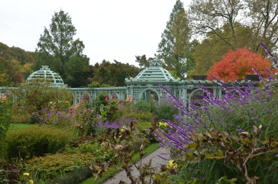 Westhampton Beach Garden Club, Kirk R. Brown, John Bartram, Old Westbury Gardens, Montauk Daisies, The Hamptons