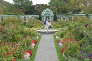 Westhampton Beach Garden Club, Kirk R. Brown, John Bartram, Old Westbury Gardens, Montauk Daisies, The Hamptons