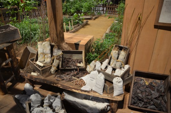John Bartram, Kirk R. Brown, Ann Mendenhall Bartram, Sara E. Brown, Philadelphia Flower Show, Williamson Technical School