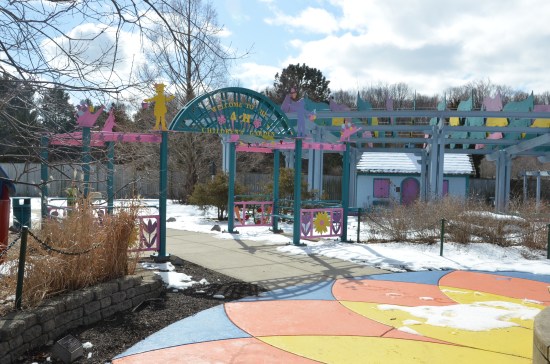 Michigan Herb Associates, John Bartram, Kirk R. Brown, Sambucus canadensis, Lansing MI