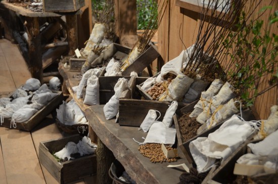 John Bartram, Kirk R. Brown, Ann Mendenhall Bartram, Sara E. Brown, Philadelphia Flower Show, Williamson Technical School