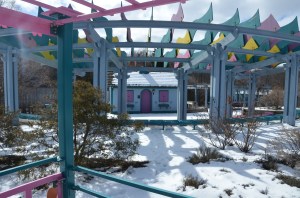 Michigan Herb Associates, John Bartram, Kirk R. Brown, Sambucus canadensis, Lansing MI