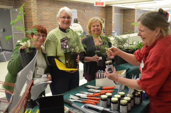 Michigan Herb Associates, John Bartram, Kirk R. Brown, Sambucus canadensis, Lansing MI