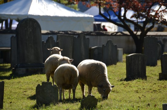 St Peters Episcopal Church in the Great Valley, Kirk R. Brown, Sara E. Brown, John Bartram, Ann Mendenhall Bartram, St Peters Festival
